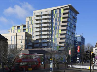 Picture 11